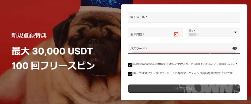 ボンバスティック登録の流れ