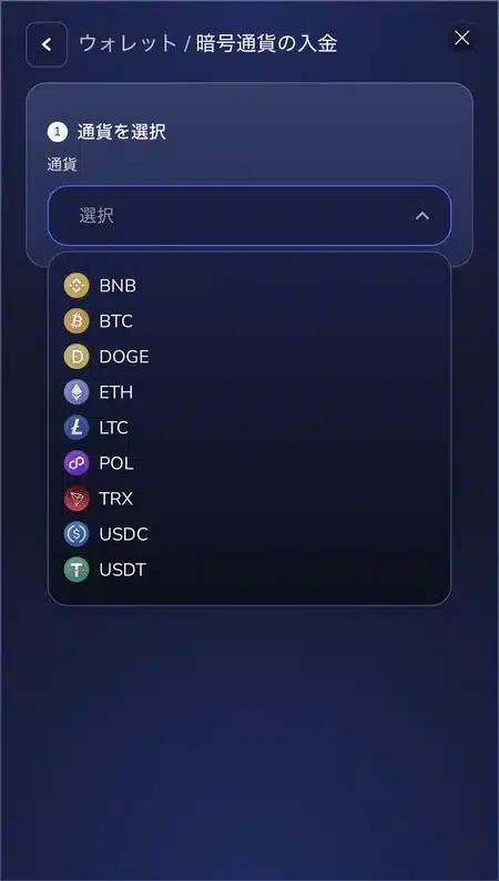 フラッシュカジノ入金方法3